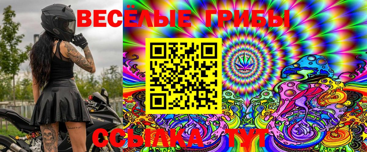 Галлюциногенные грибы Psilocybine cubensis Казань