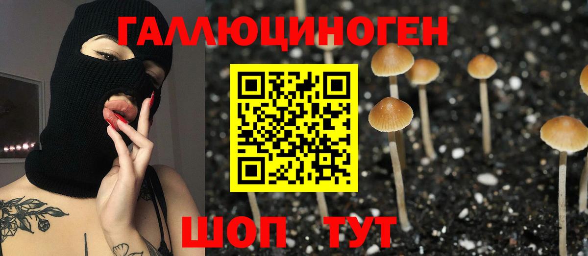 Галлюциногенные грибы мухоморы  Вход с VPN  Казань 