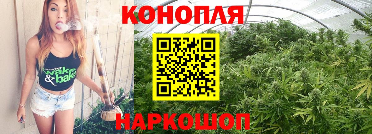 Бошки Шишки тримм Казань